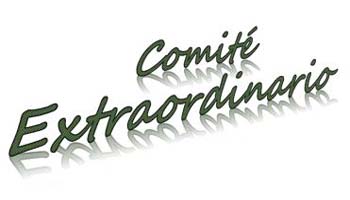 Reunión Extraordinaria Comité 11 de diciembre