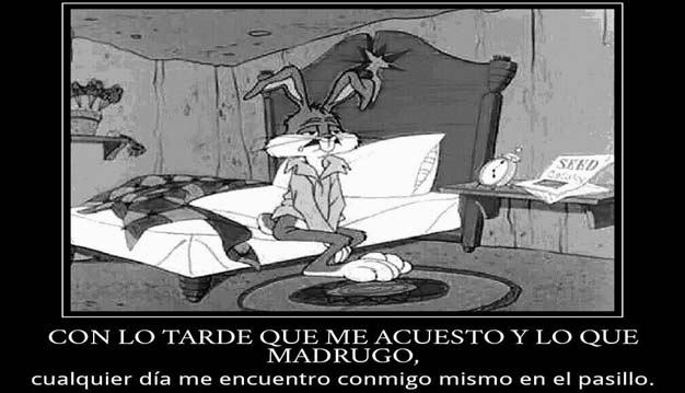 ¿Quiénes son los violentos?