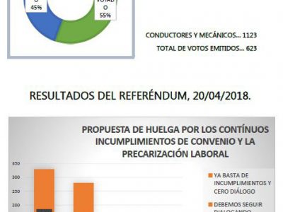 Resultado referéndum 20 de abril