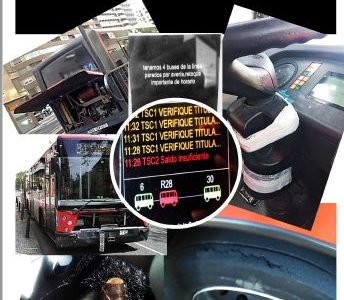 Boletín septiembre 2019